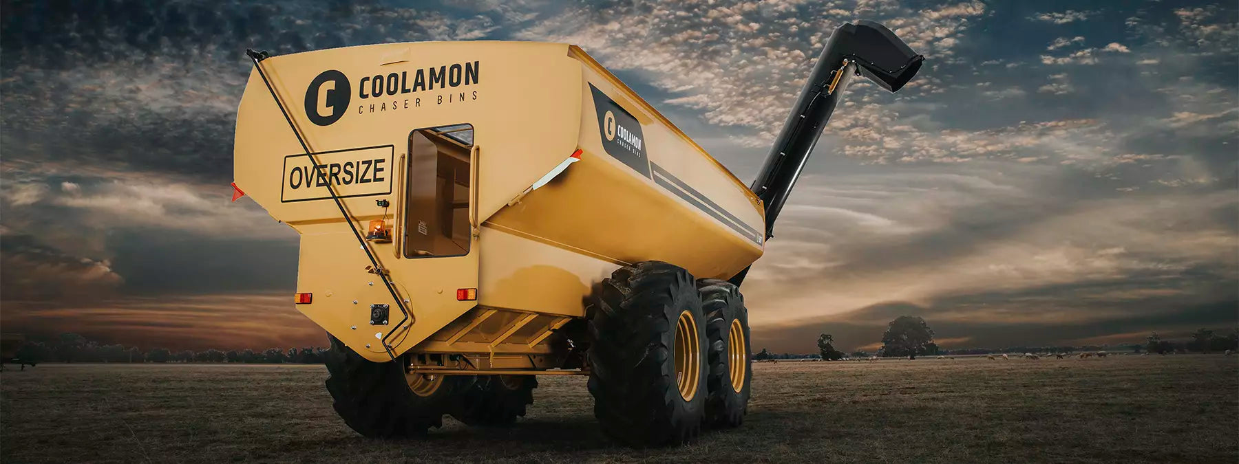 Chaser Bin 36T24